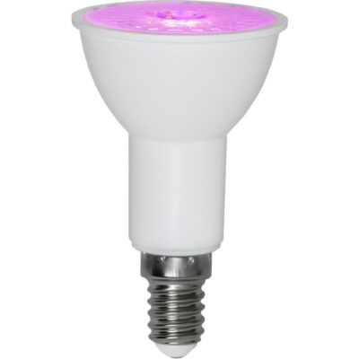 Star Trading – LED-lampa E14 PAR16 Plant Light – 3.5w